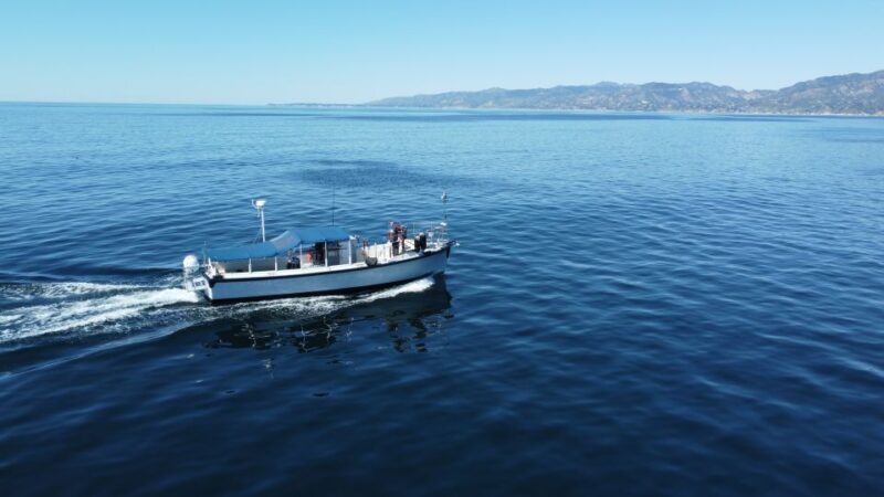 Marina Del Rey Party Boat 1 to 15 Passengers - Good To Know