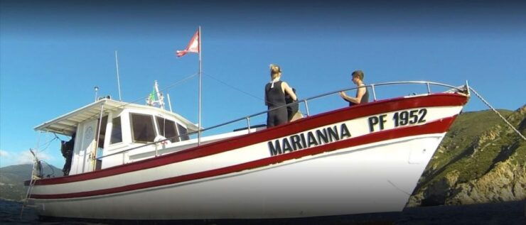 MARINA DI CAMPO: DIVING ON THE ISLAND OF ELBA AND PIANOSA - Good To Know