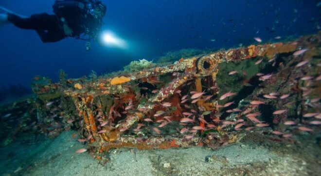 MARINA DI CAMPO: DIVING ON THE ISLAND OF ELBA AND PIANOSA - Safety Briefing and Diving Highlights