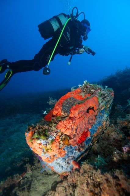MARINA DI CAMPO: DIVING ON THE ISLAND OF ELBA AND PIANOSA - Restrictions