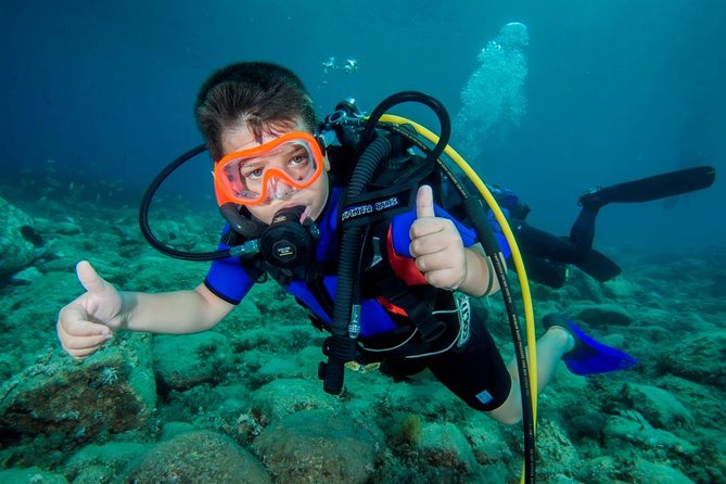 Marina Di Gioiosa Ionica First Scuba Experience  - Tropea - Pricing and Booking Details