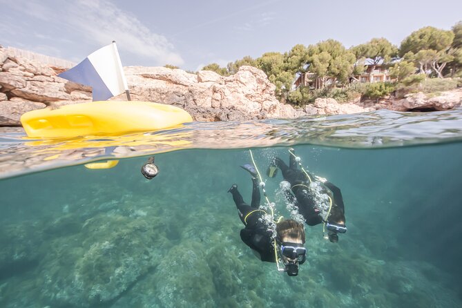 Marina Di Gioiosa Ionica First Scuba Experience  - Tropea - Experience Overview