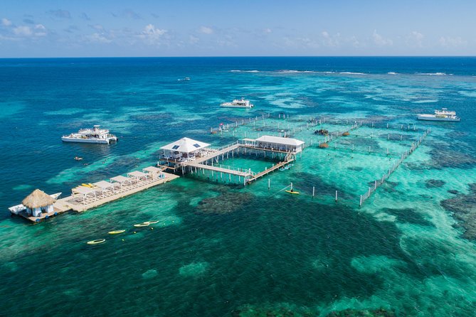 Marinarium Snorkeling Cruise From Punta Cana - The Sum Up