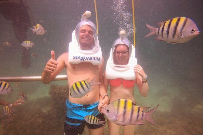 Marine Adventure Tour - Dive Into the Details: What You Can Expect