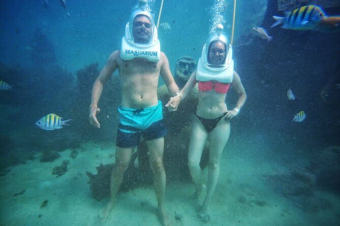 Marine Adventure Tour - Authentic Traveler Insights