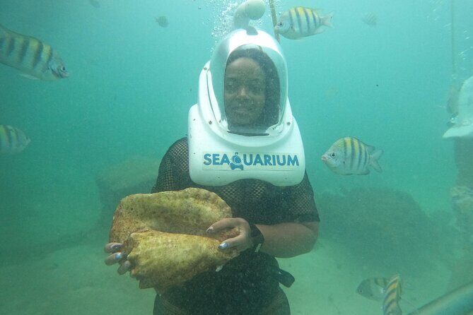 Marine Adventure Tour - Final Thoughts: Is This Tour Right for You?