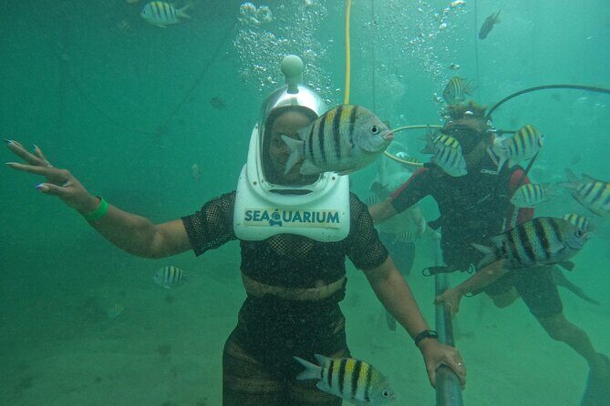 Marine Adventure Tour - Frequently Asked Questions