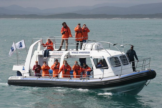 Marine Big 5 Safari Full Day Trip From Cape Town - Wildlife Spotting Opportunities