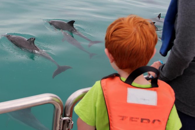 Marine Big 5 Safari Full Day Trip From Cape Town - Common Questions