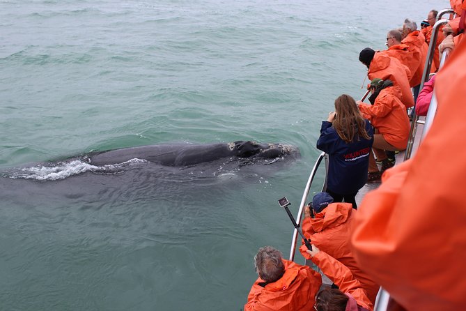 Marine Big 5 Safari: Self-Drive - Common Questions