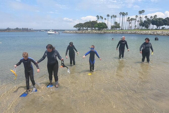 Marine Bio 101 Snorkel in San Diegos Mission Bay - Overview and Logistics
