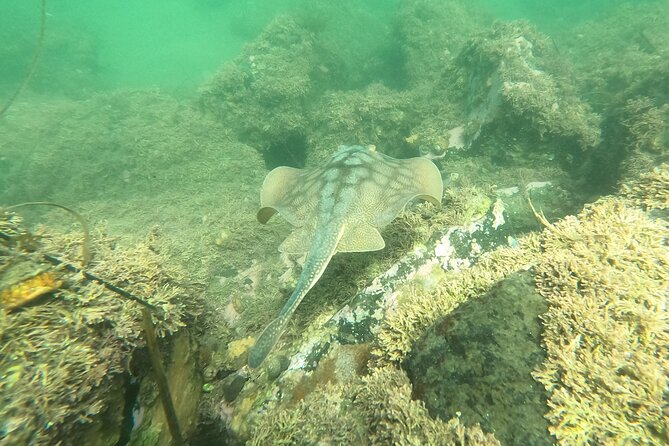 Marine Bio 101 Snorkel in San Diegos Mission Bay - Cancellation Policy