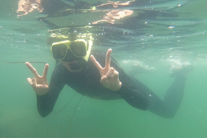 Marine Bio 101 Snorkel in San Diegos Mission Bay - Digital Photo Album Included