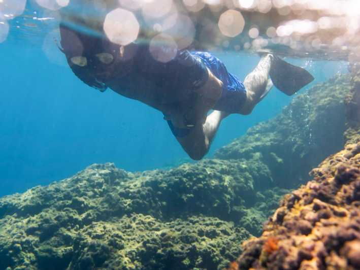 Marine Biology & Snorkelling Experience in the Cinque Terre - Good To Know