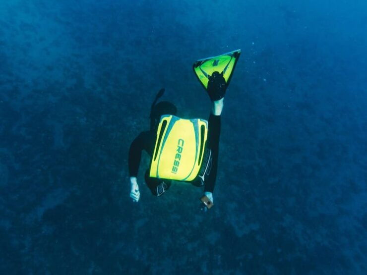 Marine Biology & Snorkelling Experience in the Cinque Terre - Highlights of the Activity
