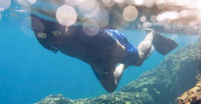 Marine Biology & Snorkelling Experience in the Cinque Terre - Environmental Contribution