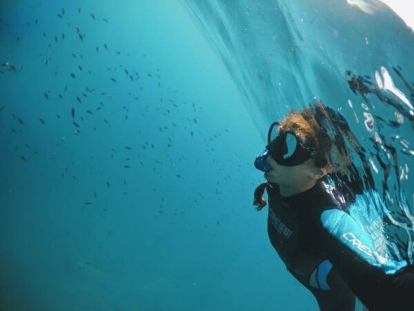 Marine Biology & Snorkelling Experience in the Cinque Terre - Frequently Asked Questions