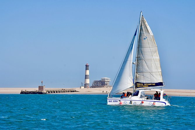 Marine Dolphin Seal Cruise - Experience Highlights