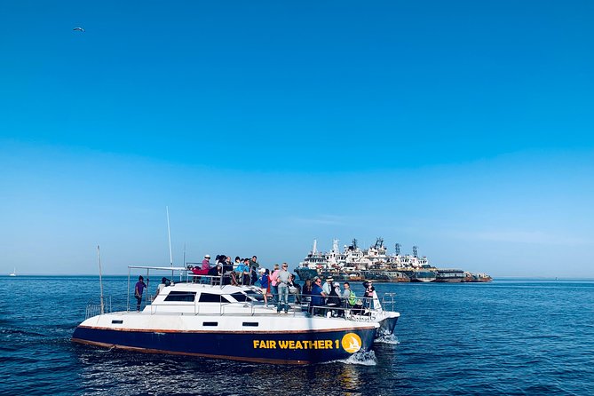 Marine Dolphin Seal Cruise - Booking Information