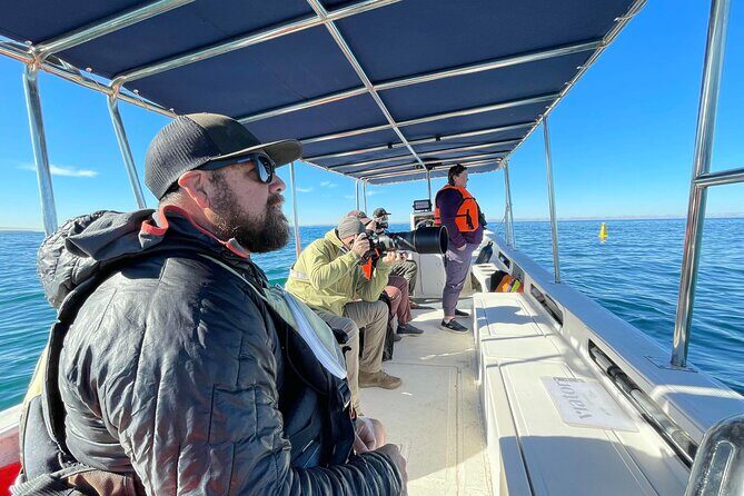 Marine Ecology Tour in La Paz Mexico - Good To Know