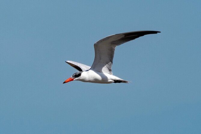 Marine Ecology Tour in La Paz Mexico - An In-Depth Look at the Marine Ecology Tour