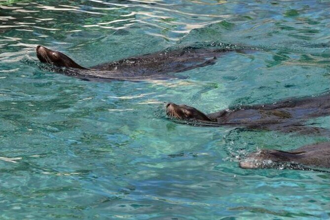 Marine Ecology Tour in La Paz Mexico - Why You Should Consider This Tour