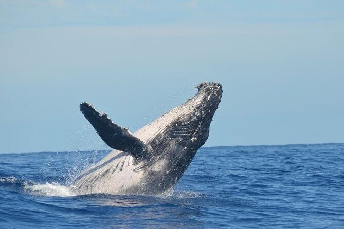 Marine Ecology Tour in La Paz Mexico - Final Thoughts