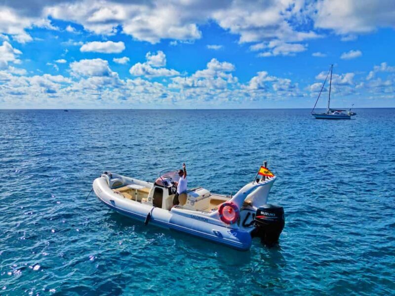 Marine EcoSafari: Whale Watching in a Luxury Zodiac with Hydrophone - FAQs  