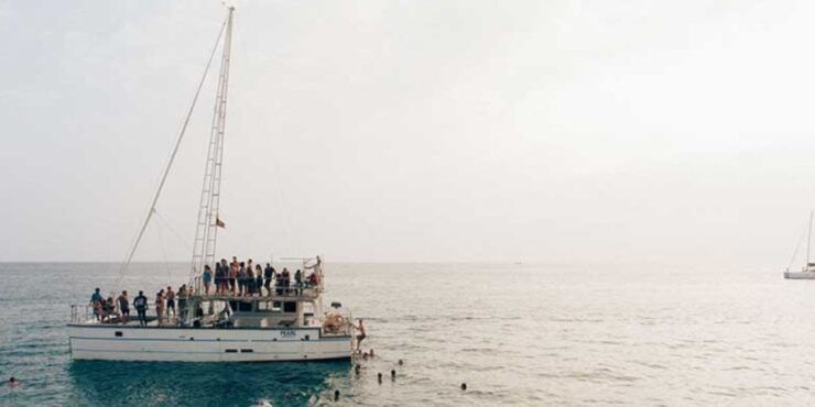 Marine Marvels Expedition: Whale and Dolphin Encounter" - Experience