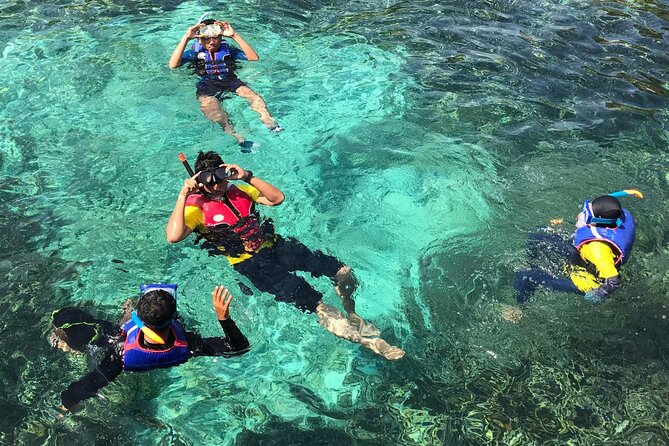 Marine Park Island Hopping, Snorkeling, and Adventure - Good To Know