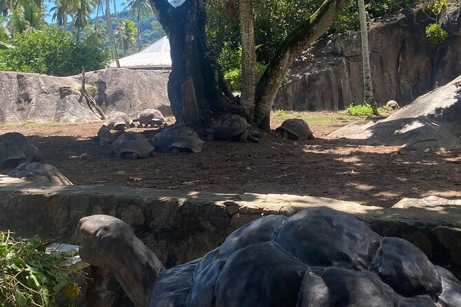 Marine Park Island Hopping, Snorkeling, and Adventure - Customer Reviews Summary
