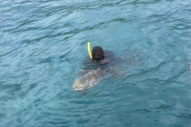 Marine Park Island Hopping, Snorkeling, and Adventure - Directions for Pickup