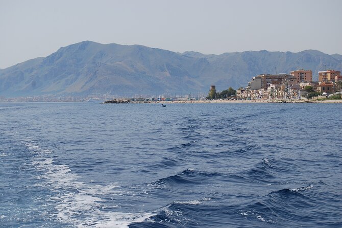 Marine Reserve of Isola Delle Femmine Capo Gallo - Assistance and Support