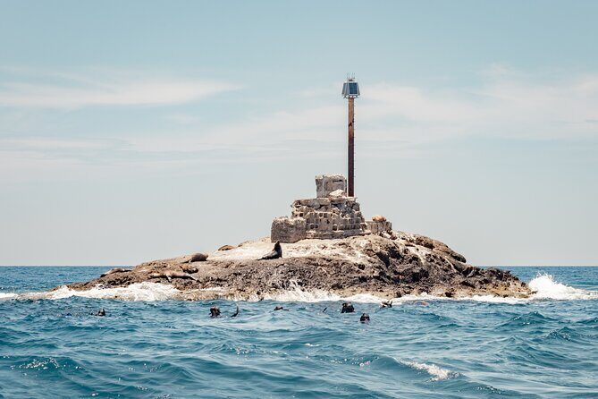 Marine Safari in La Ventana - An In-Depth Look at the Marine Safari in La Ventana