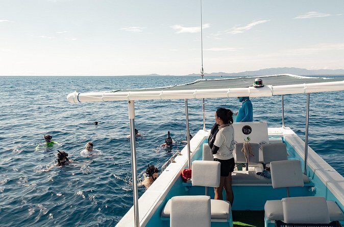 Marine Safari in La Ventana - FAQ