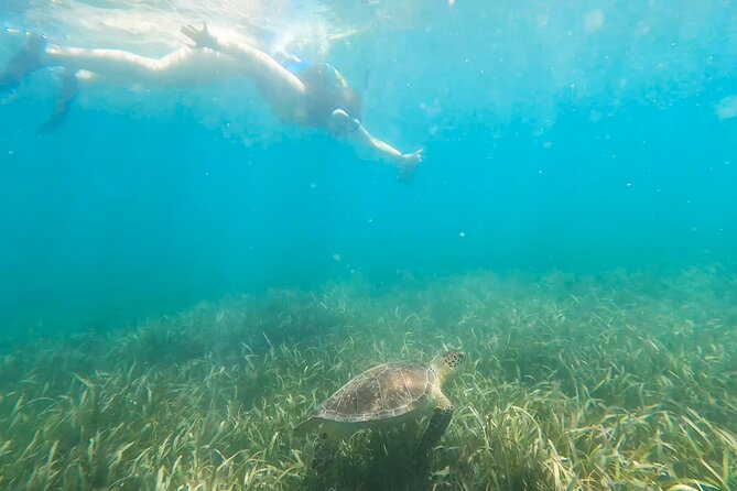 Marine Sanctuary Snorkelling Trip  - Puerto Rico - Use of Snorkeling Equipment