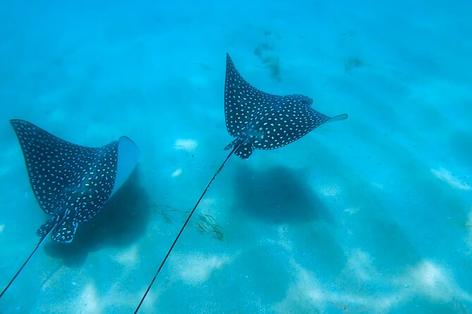 Marine Sanctuary Snorkelling Trip  - Puerto Rico - Directions