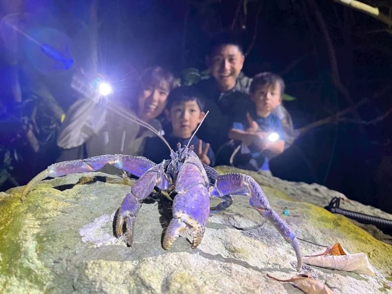 Marine Shop HAPPY: Ishigaki Island Tours - Who will enjoy Marine Shop HAPPY