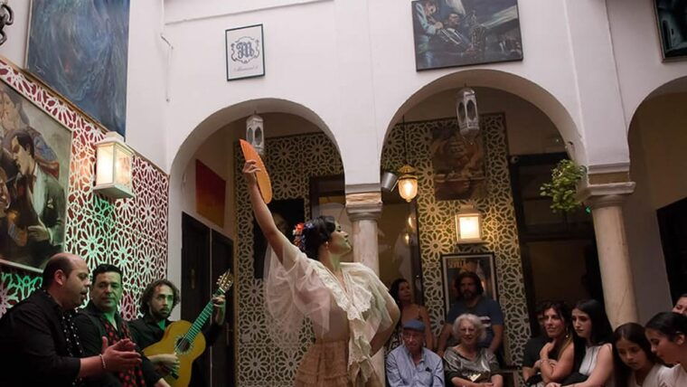 Mariscal Flamenco Show With Drink in Santa Cruz - Performers and Show Details