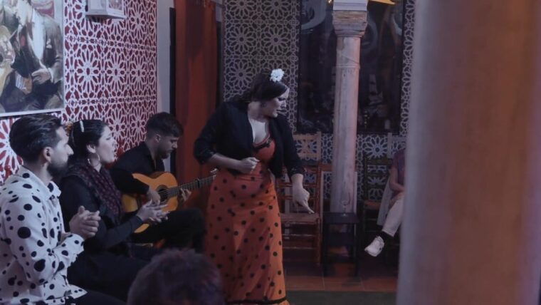 Mariscal Flamenco Show With Drink in Santa Cruz - Included Amenities