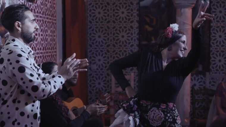 Mariscal Flamenco Show With Drink in Santa Cruz - Restrictions and Requirements