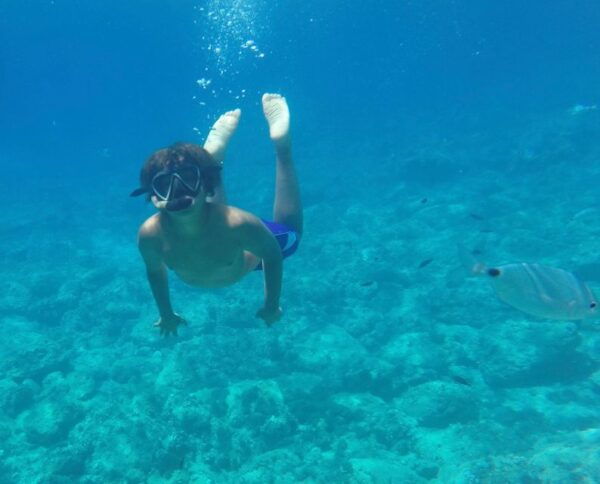 Maristella: Porto Conte Park Snorkeling Boat Tour - Tour Highlights