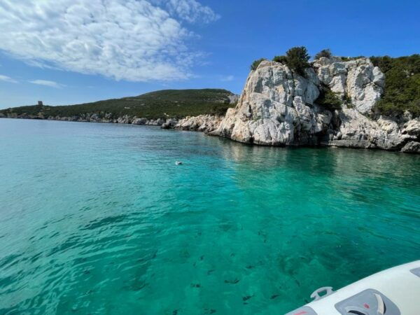 Maristella: Porto Conte Park Snorkeling Boat Tour - Inclusions