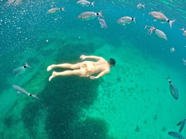 Maristella: Porto Conte Park Snorkeling Boat Tour - Restrictions