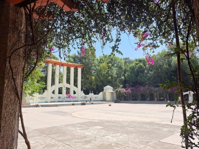 Market and Tacos Tour by Chef Abel Hernández in Mexico City - Important Information