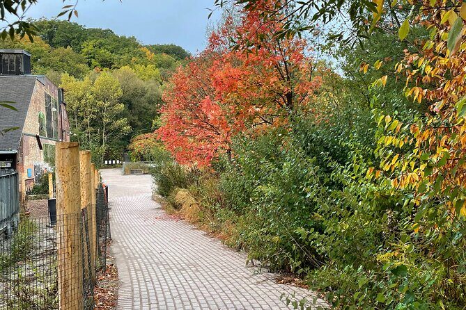 Market to Market Breakfast Tour - Exploring Toronto’s Markets and Neighborhoods on Two Wheels
