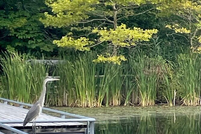 Market to Market Breakfast Tour - FAQ