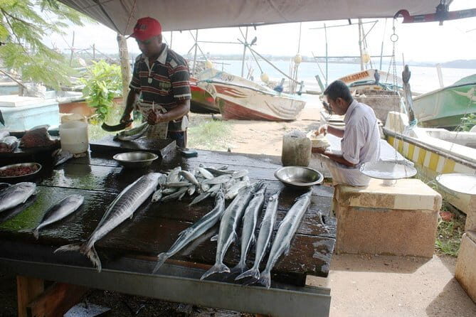 Market Tour and Sri Lankan Cooking Class inside Galle Fort - Practical Details and What to Keep in Mind