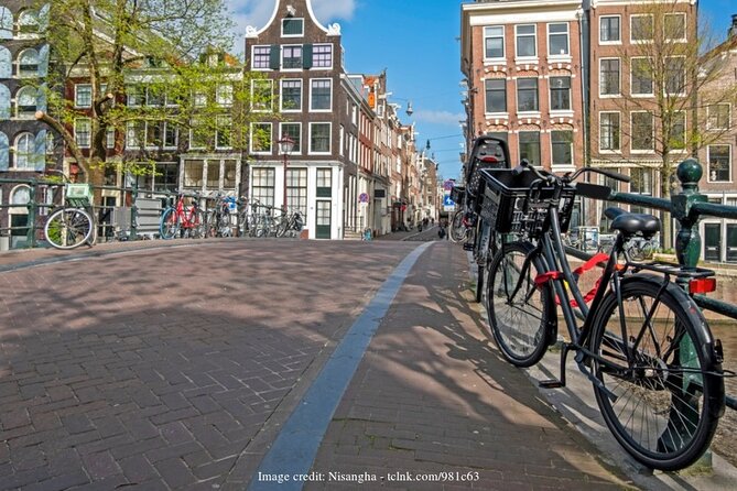 Markets and Masterpieces: Amsterdam Private Full-Day Walking Tour - Tour Details
