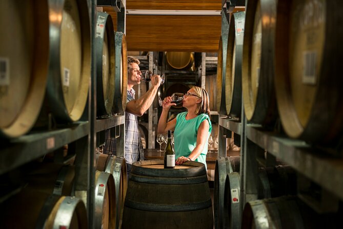 Marlborough Afternoon Wine Tour With Tastings - Cancellation Policy and Refund Information
